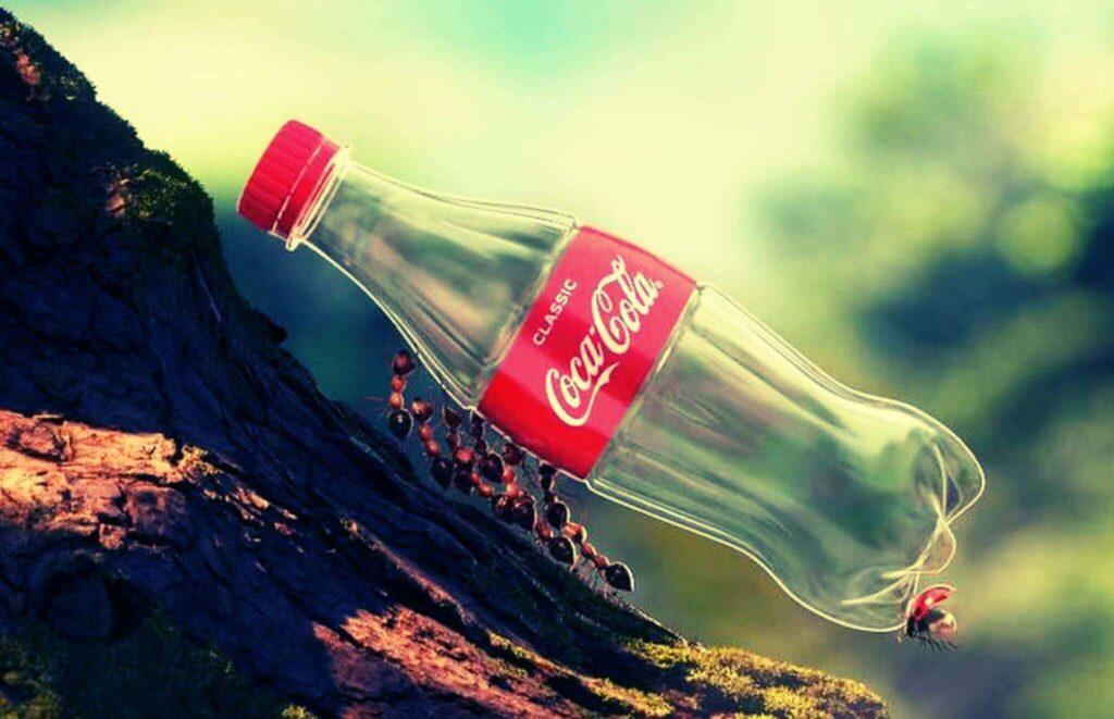 evitar el greenwashing