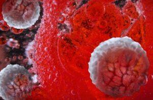 qué son las hormonas