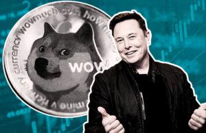 elon musk doge