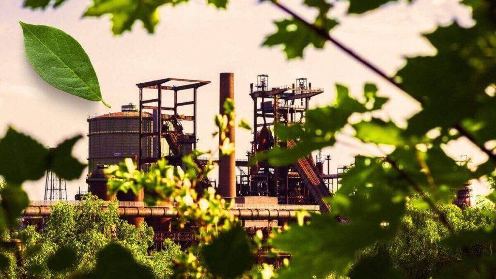 capitalismo consciente