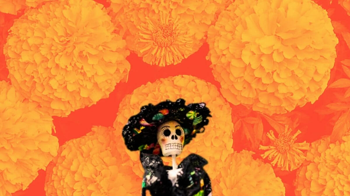 Día de Muertos en México CDMX 0CTUBRE N0VIEMBRE 2023