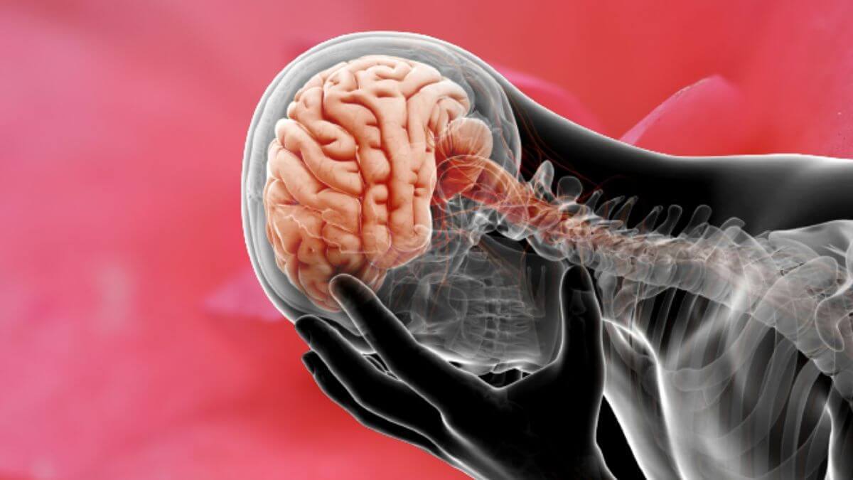 Cómo la salud cerebral impacta en nuestro cuerpo. 2 tips para mantenernos sanos