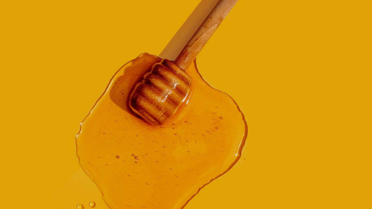 ¿Cuáles la miel melipona? La miel de la abeja sin aguijón y sus BENEFICI0S EN LA SALUD