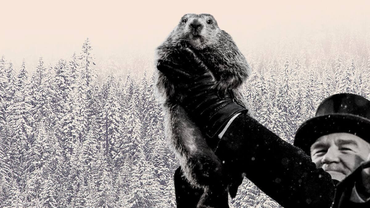 ¿Qué dice la marmota? El invierno 2023 se alargará o daremos la bienvenida a la primavera pronto