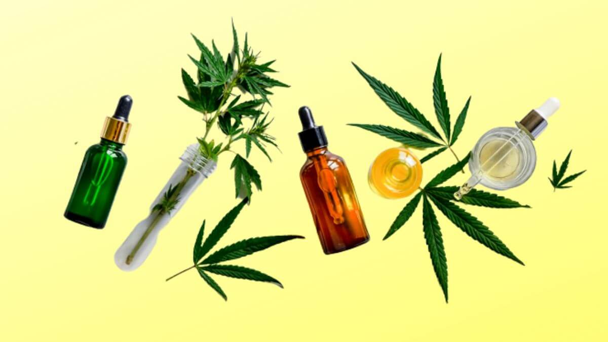 Variedades de Cannabis y sus 3 posibles usos médicos