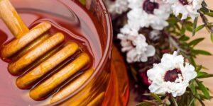 probar miel de manuka