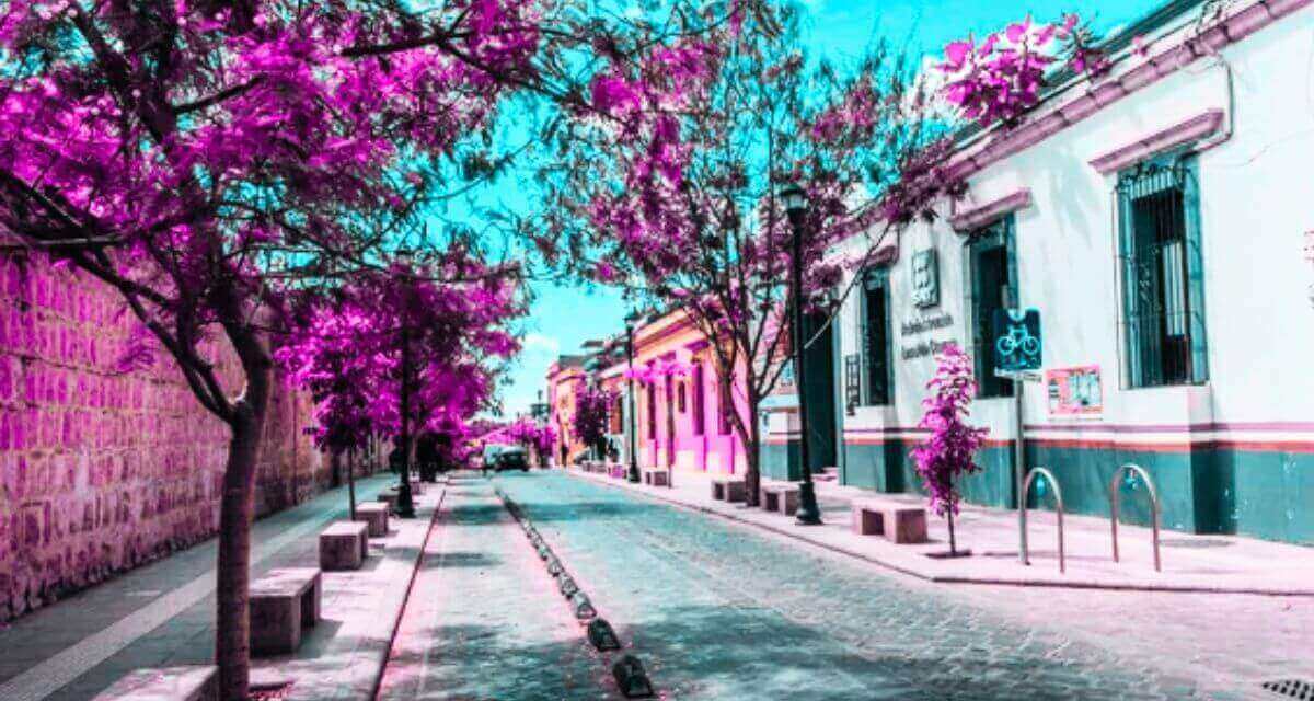 construyendo un mejor méxico