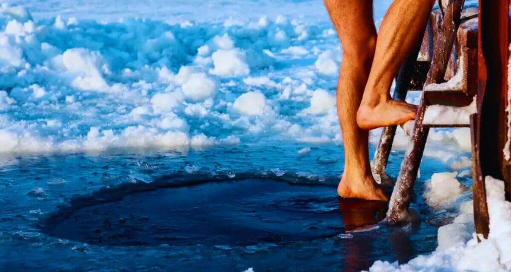 estresores horméticos