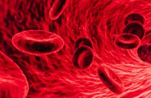 qué son las hormonas