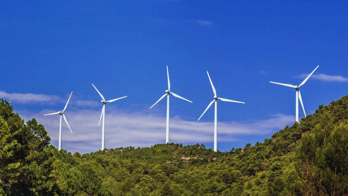 Energías renovables: clave para frenar el calentamiento global