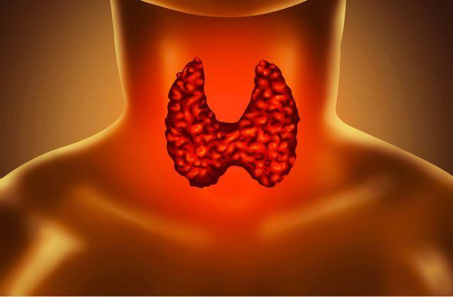 síntomas de trastonos endocrinos