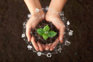 Sustentabilidad en México acciones prácticas para pasar del discurso al hábito